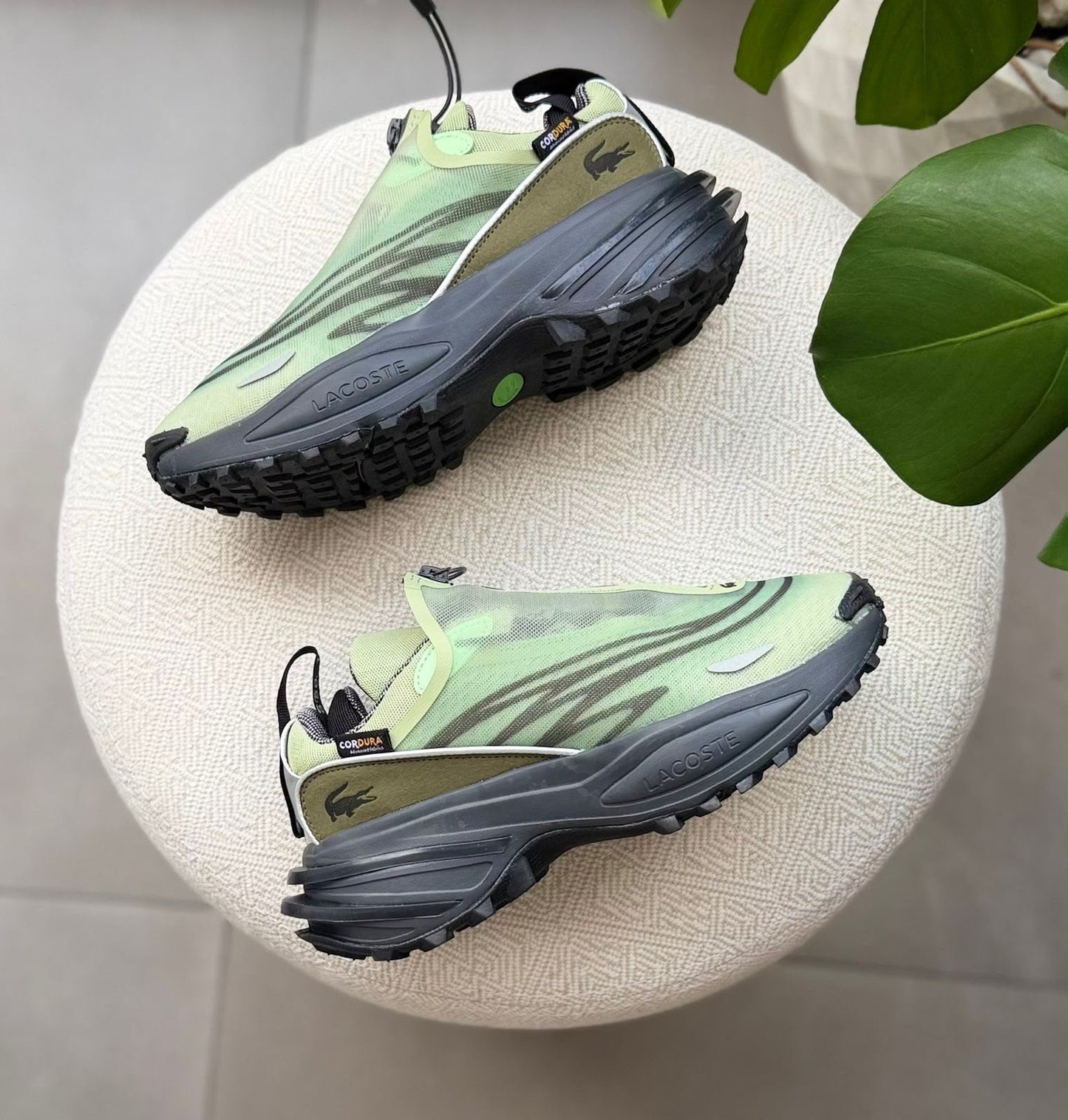 LACOSTE MEN