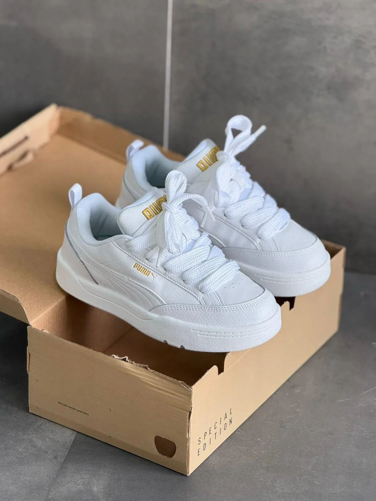 PUMA PARK