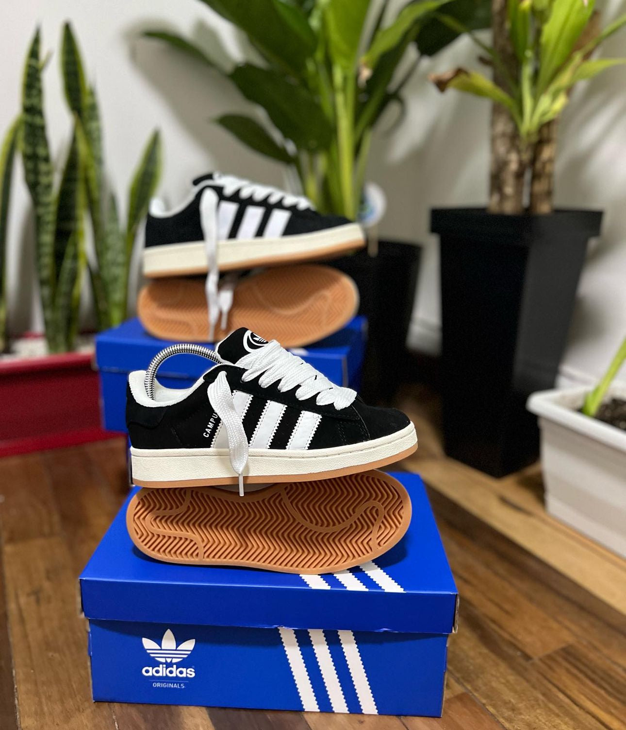 Adidas Campus Negro