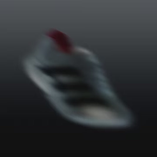 ADIDAS ADIZERO ADIOS PRO EVO